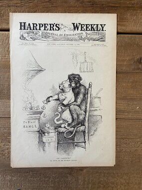 Political Cartoon, Thomas Nast, Harpers Weekly